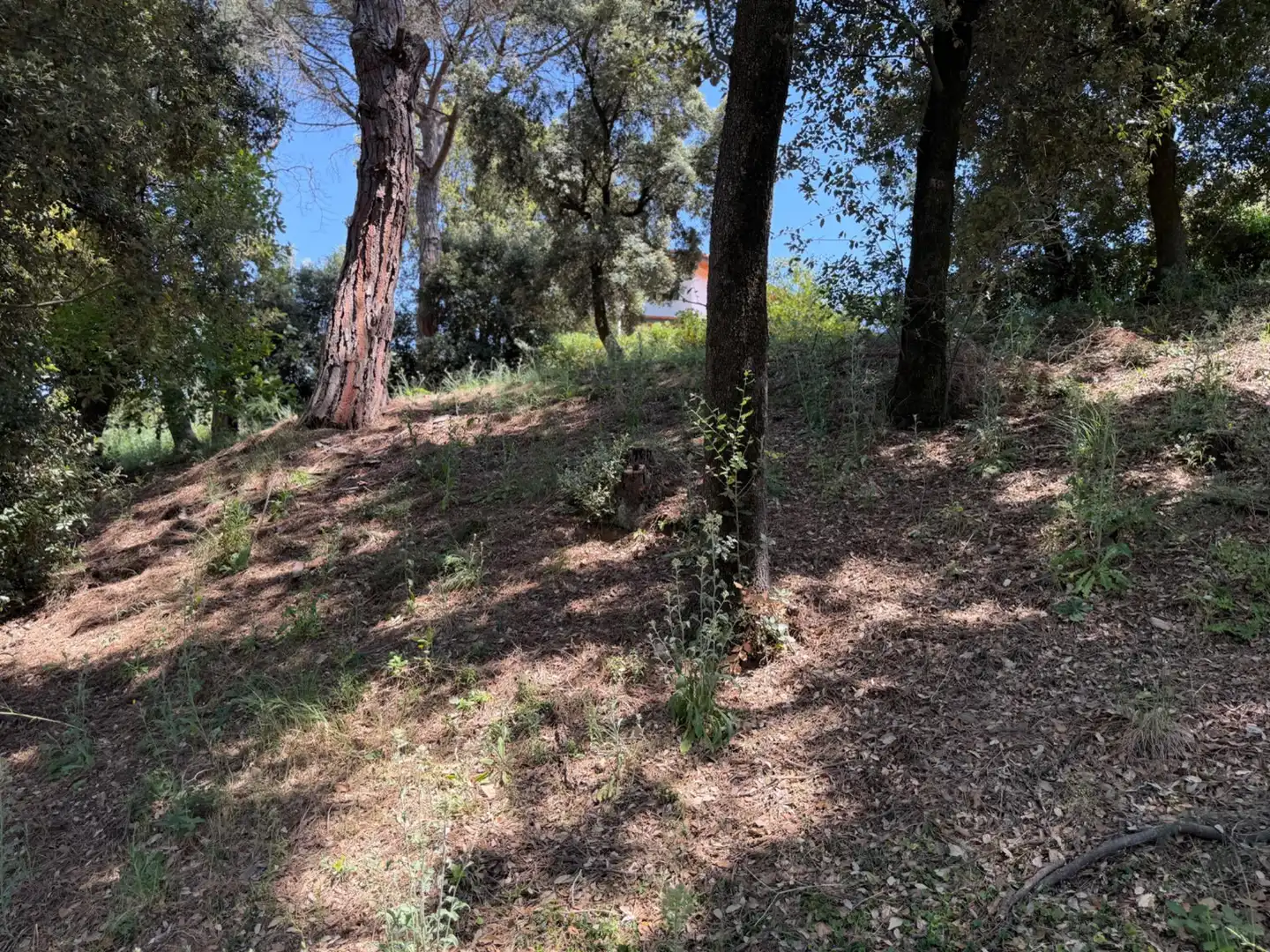 Lands and plots for sale in Carrer de Sant Bernat 7, imagen 10