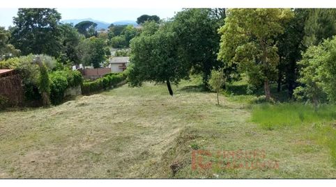 TERRENY EN VENTA A VALLCANERA SILS, immagine 3