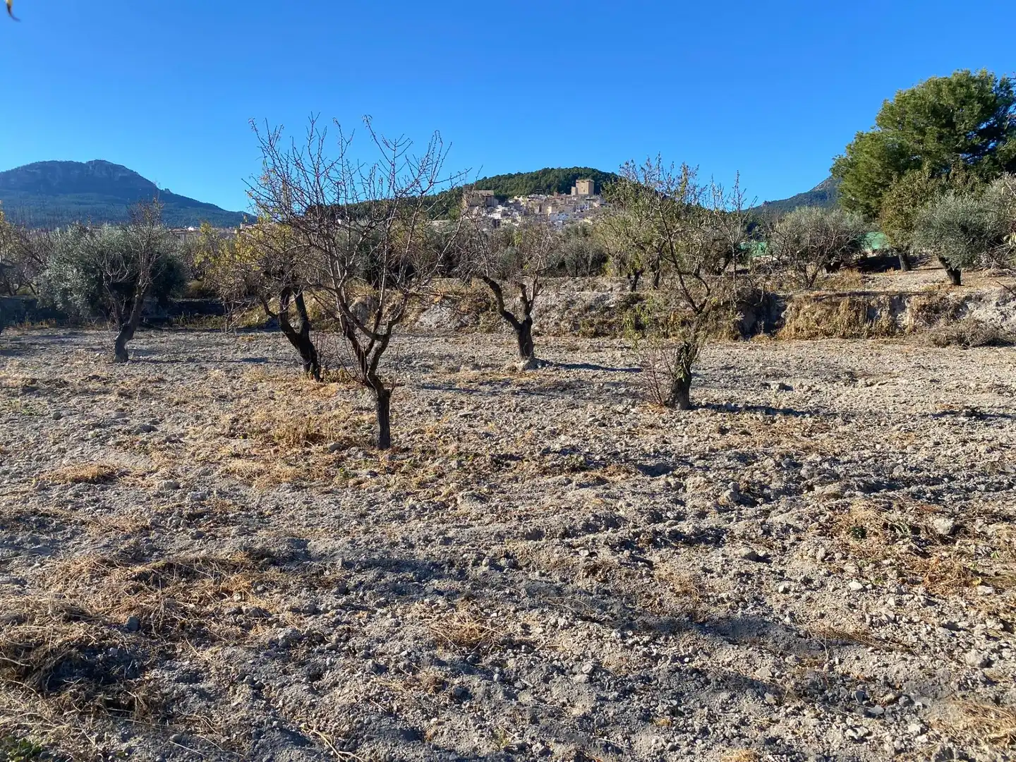 Terreni e lotti in vendita a Moratalla, imagen 8