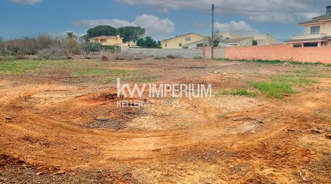 Terreno de media hectárea edificable para inversión, imagen 4