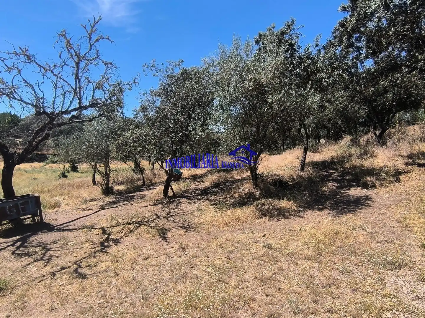 Houses for sale in Obejo
