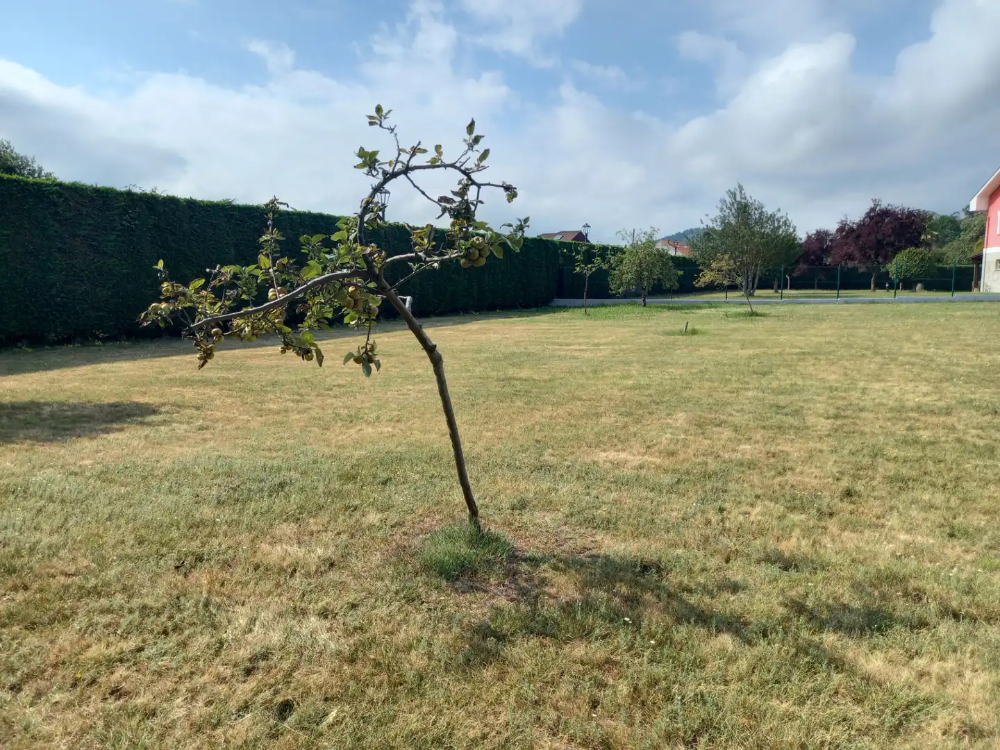 Garden of Land for sale in Muros de Nalón
