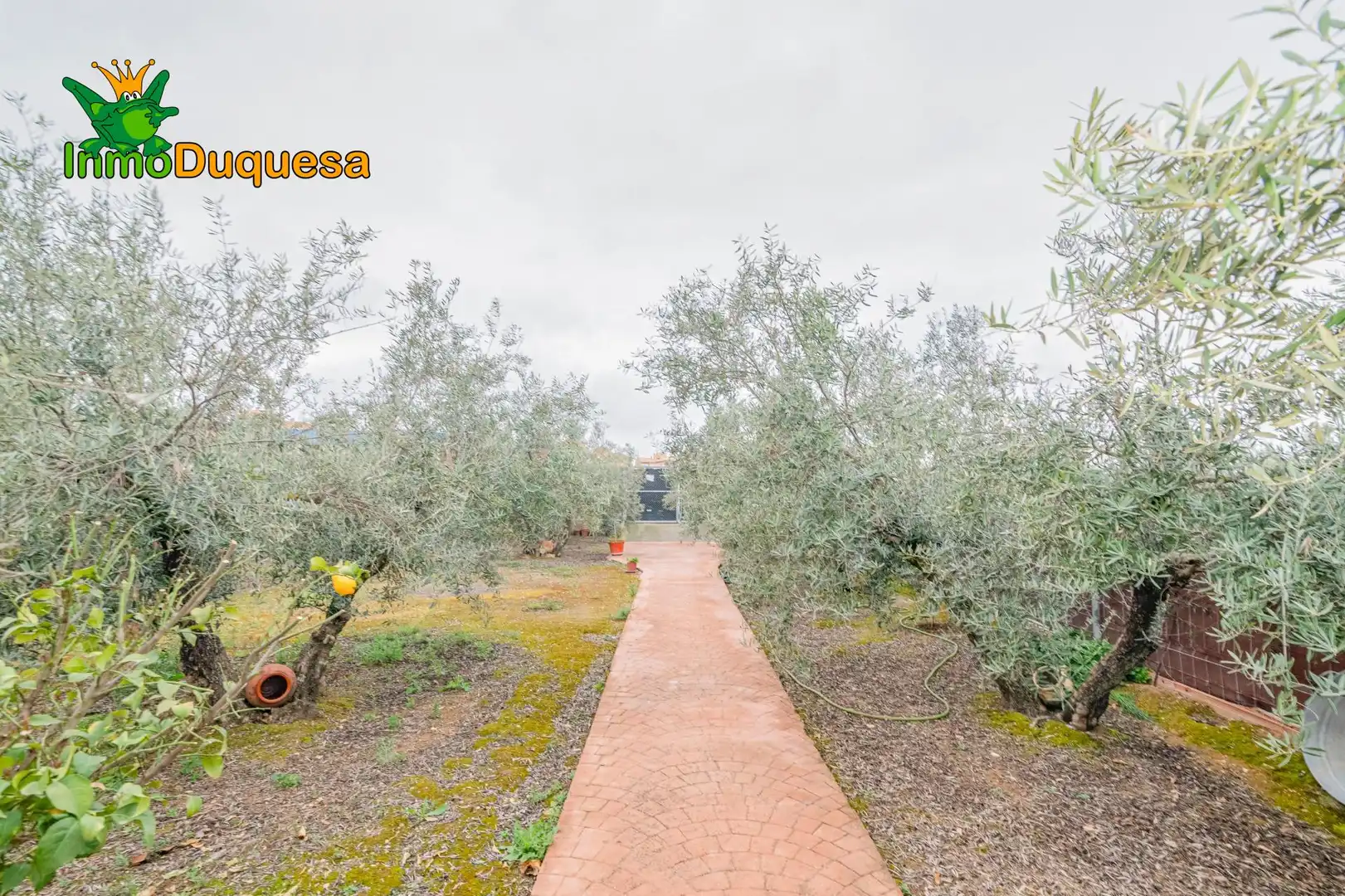 Garten von Country house zum Verkauf in Ogíjares
