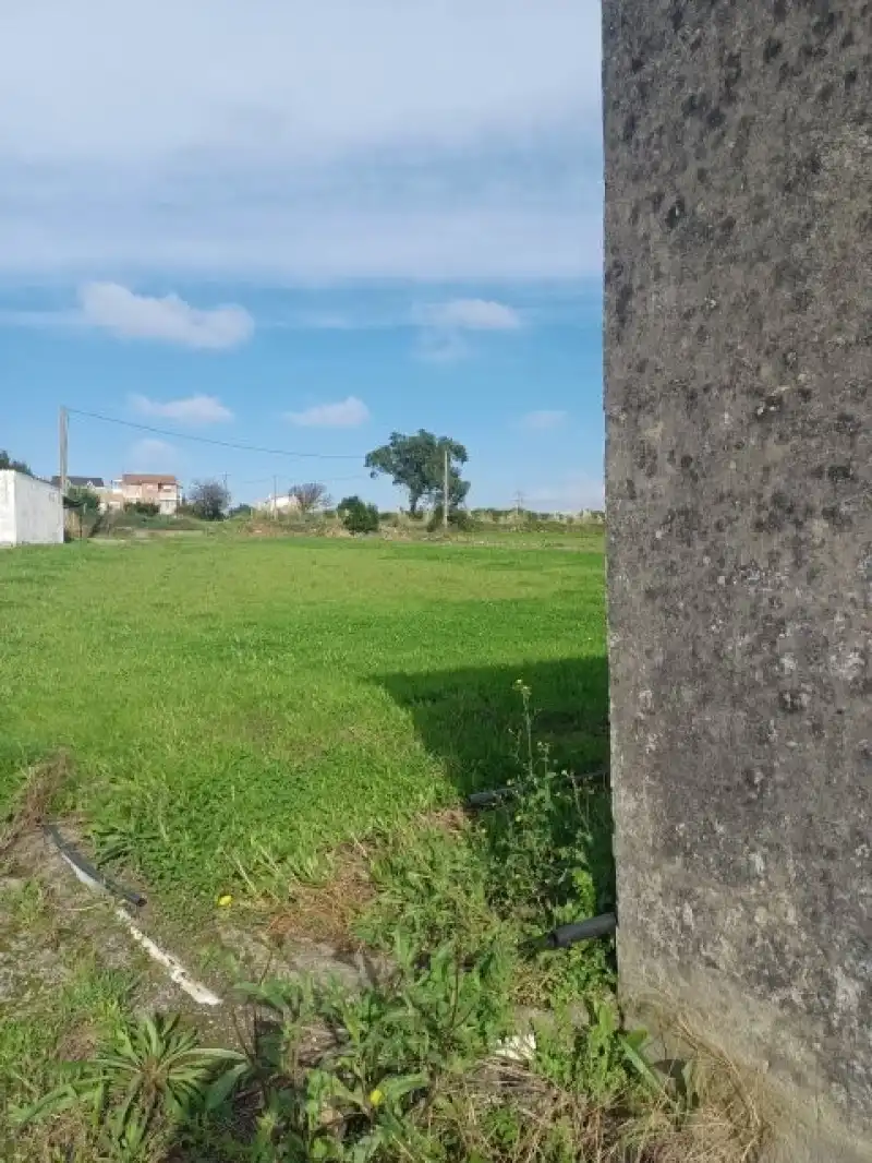 Terreni e lotti in vendita a Monte, imagen 5