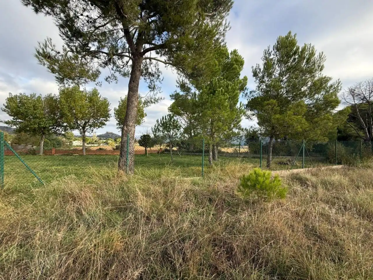 Industrial land for sale in La Torre de Claramunt