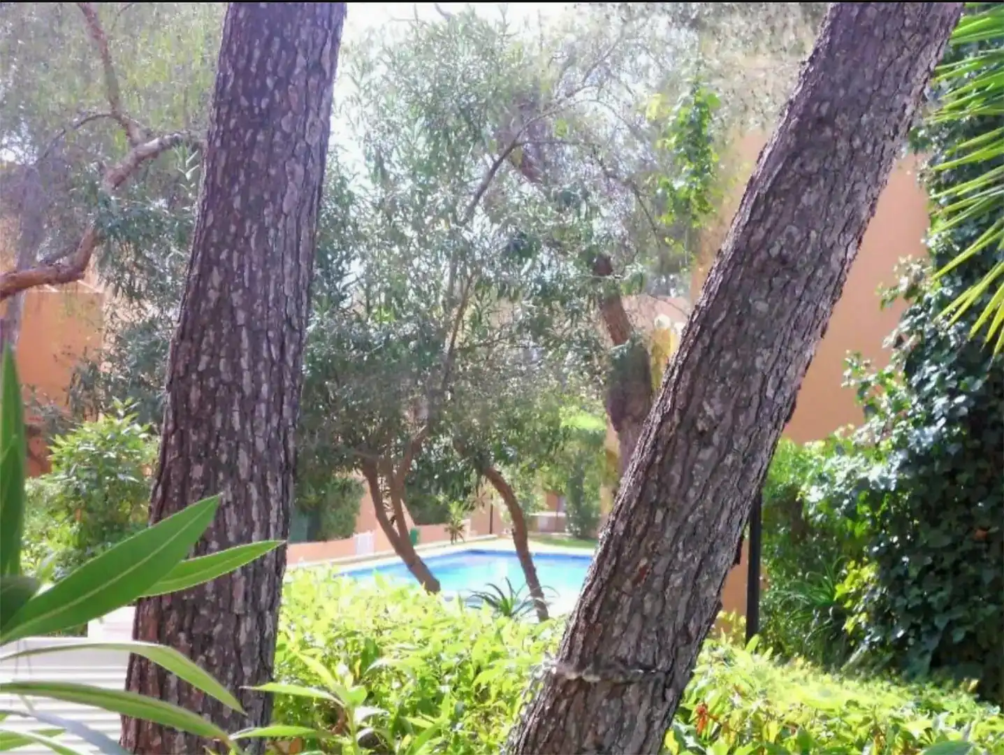 Jardí de Planta baixa de lloguer en Santa Eulària des Riu