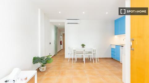 Photo 4 of Apartment to share in La Floresta, Barcelona