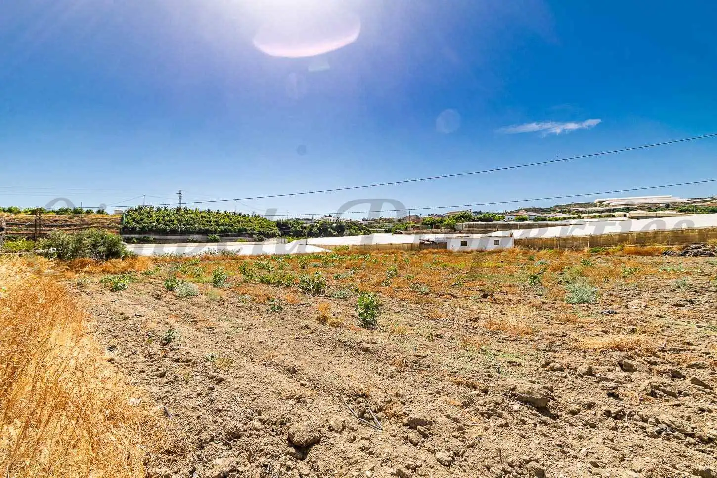 Terreny rústic en venda a Algarrobo pueblo, imagen 5