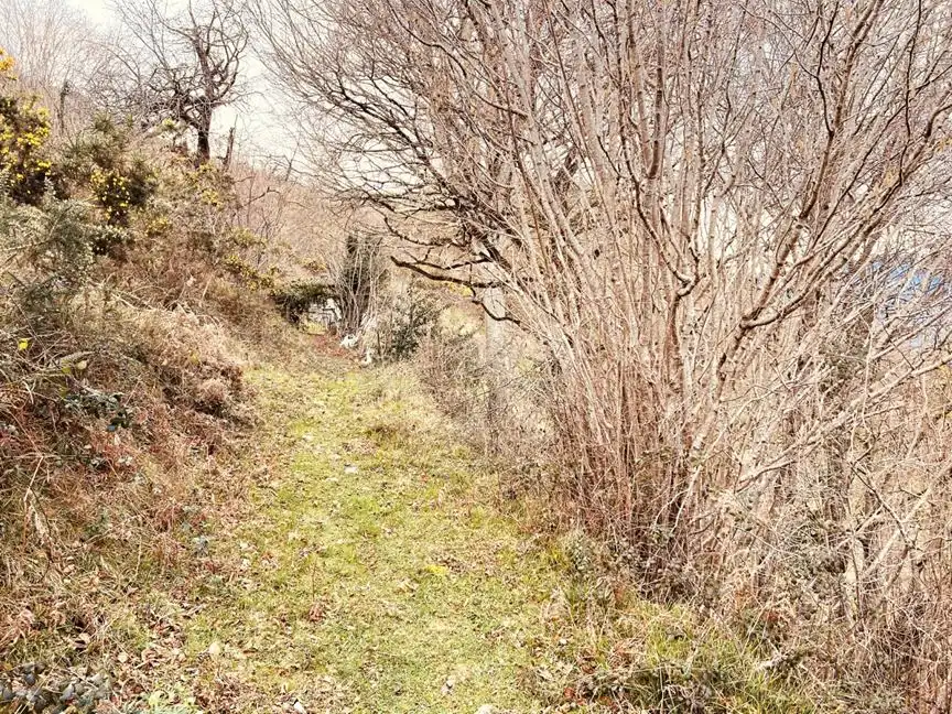 Finca rústica en venda en Parres