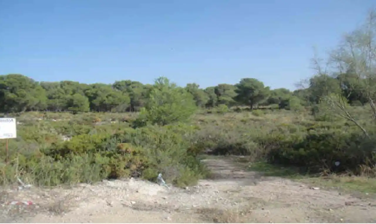Terreno rustico in vendita a Calicasas, imagen 11