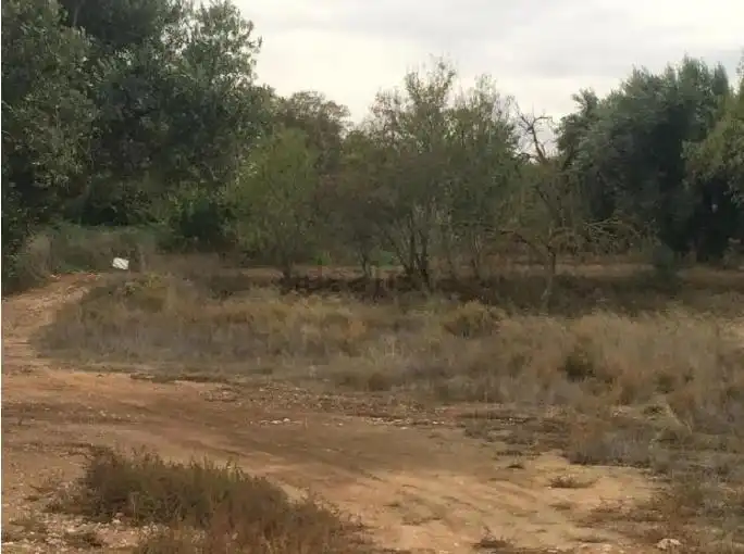 Terreny rústic en venda a Belchite, imagen 3