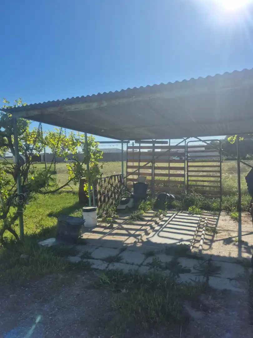 Jardí de Casa o xalet en venda en Chiclana de la Frontera