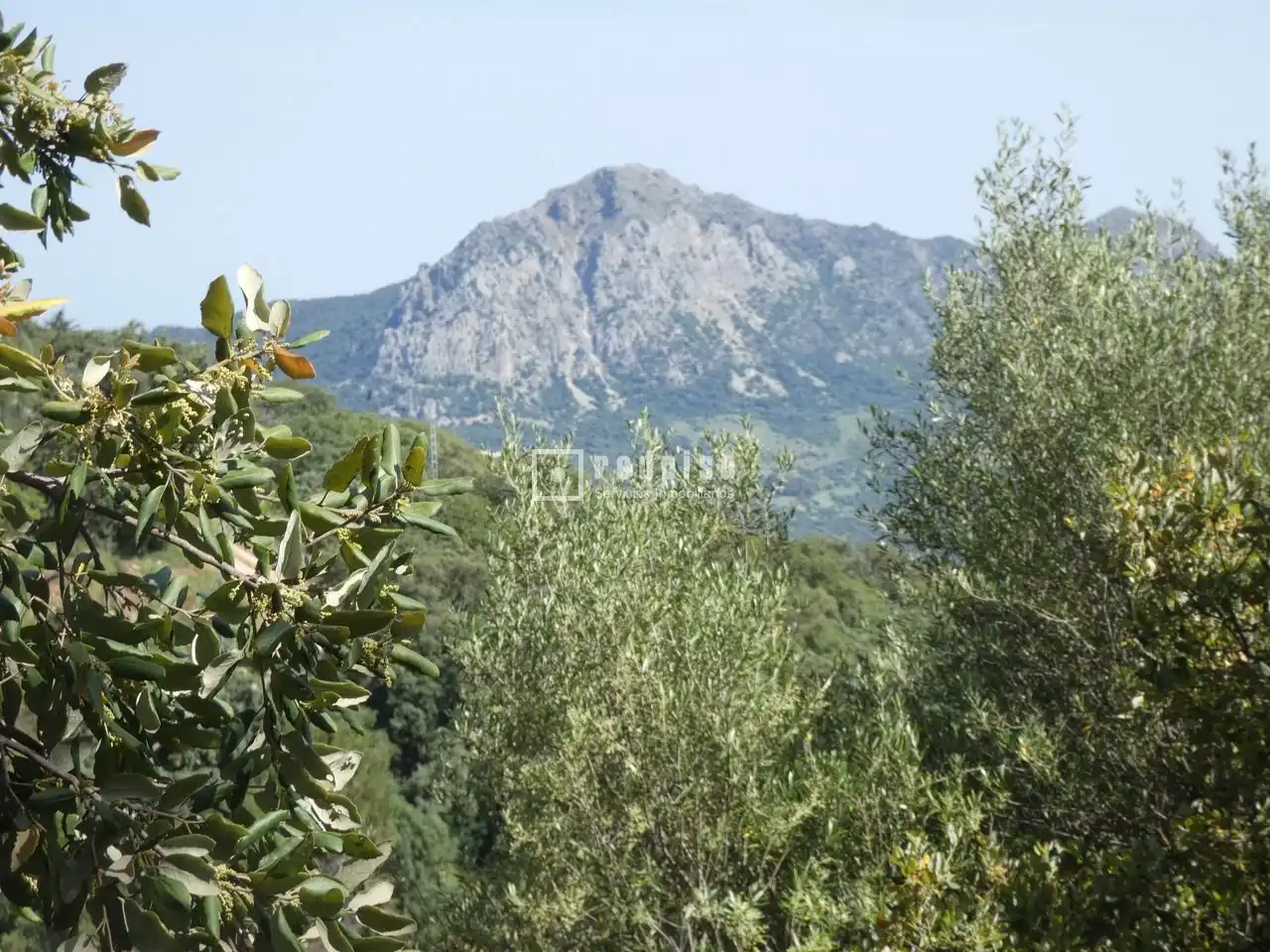 Residential for sale in Gaucín