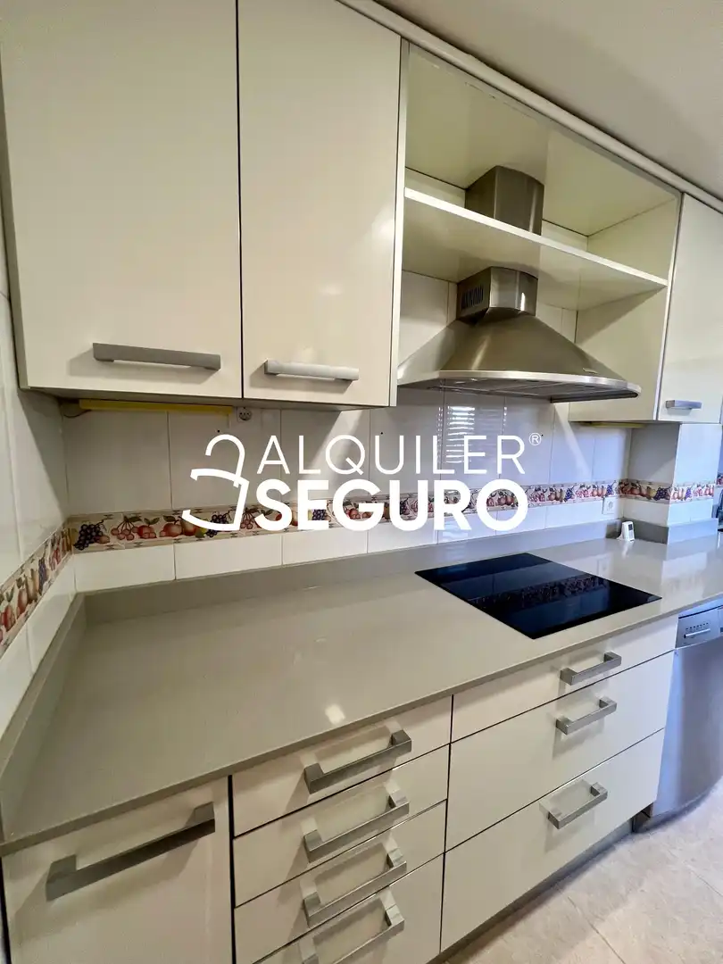 Kitchen of Flat for rent in Madrid  with Air Conditioner, Heating and Terrace