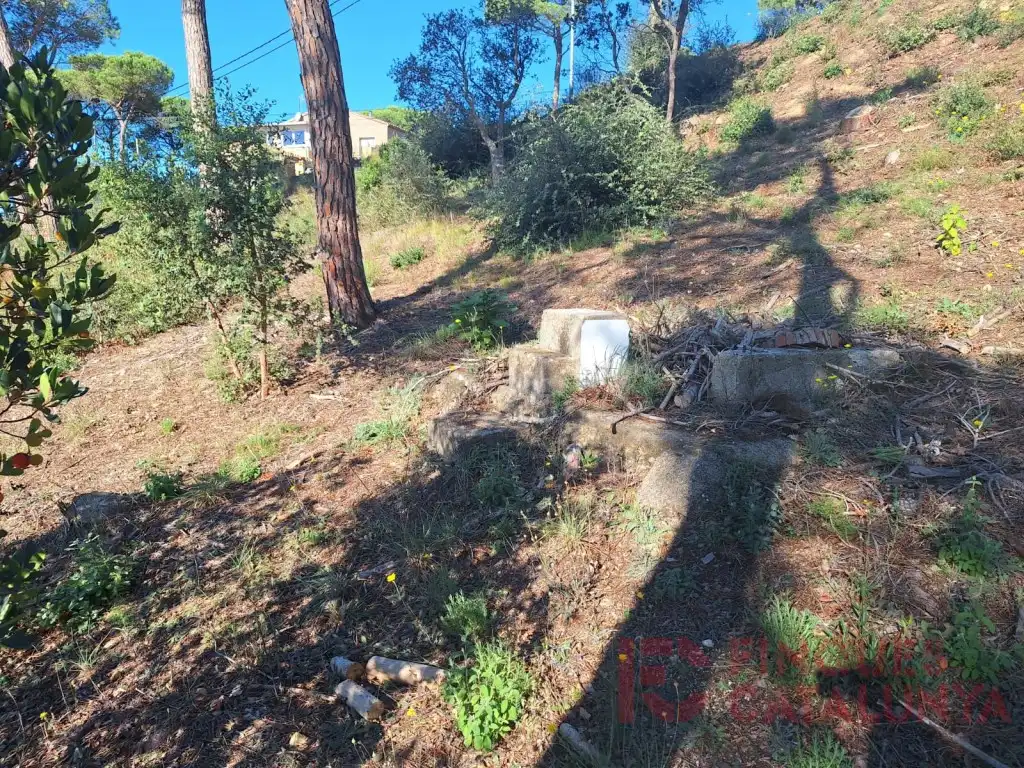 Terreny residencial en venda a Carrer del Puig Colomer, imagen 3