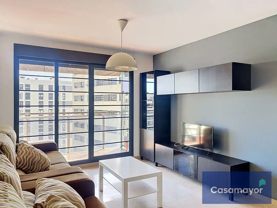 Living room of Flat for rent in Alicante / Alacant  with Air Conditioner, Heating and Private garden