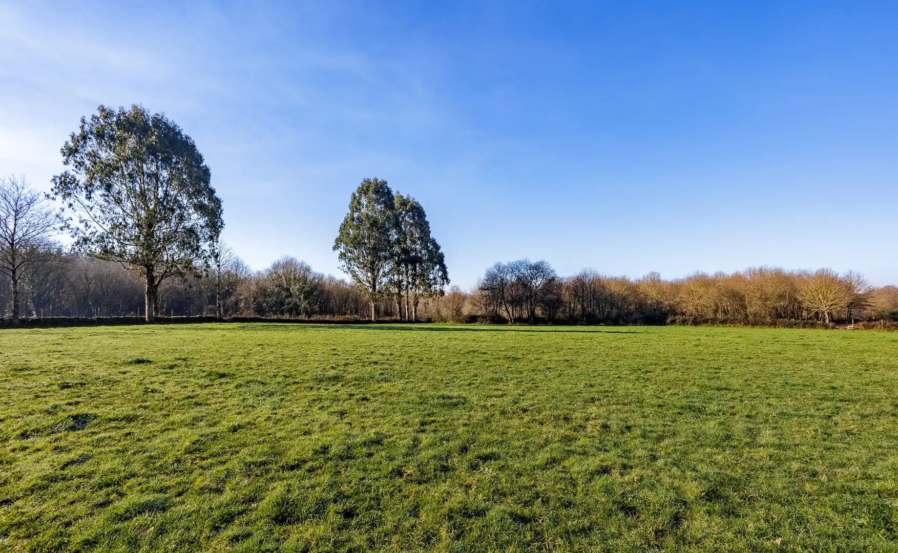 Country homes for sale in Lugo