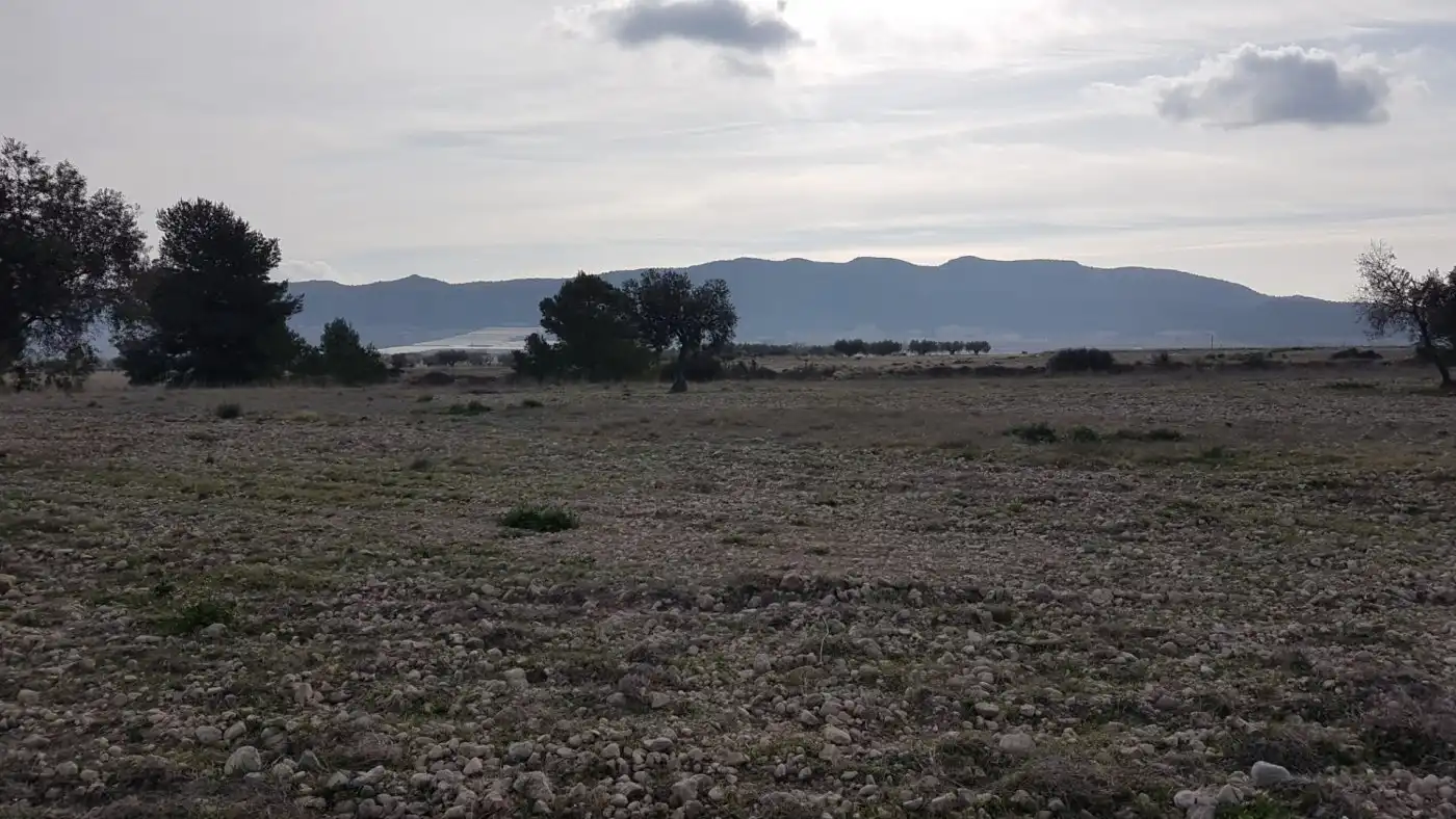 Finca rústica en venda en Salinas