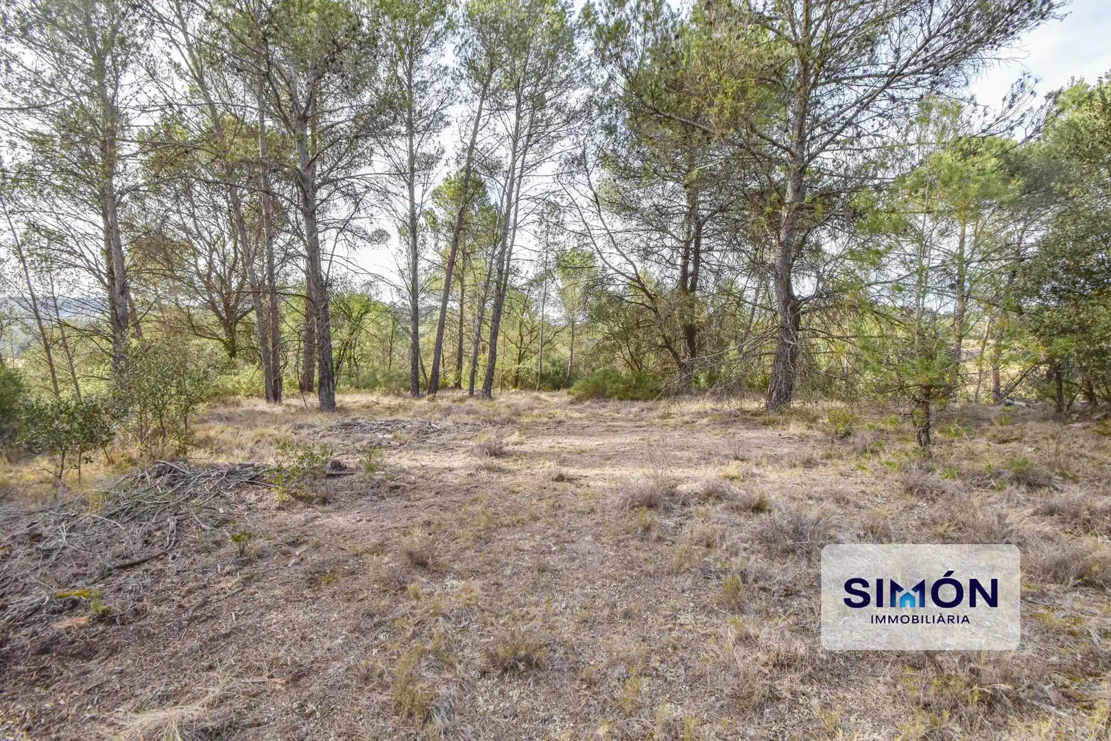Finca rústica en venta en Veciana
