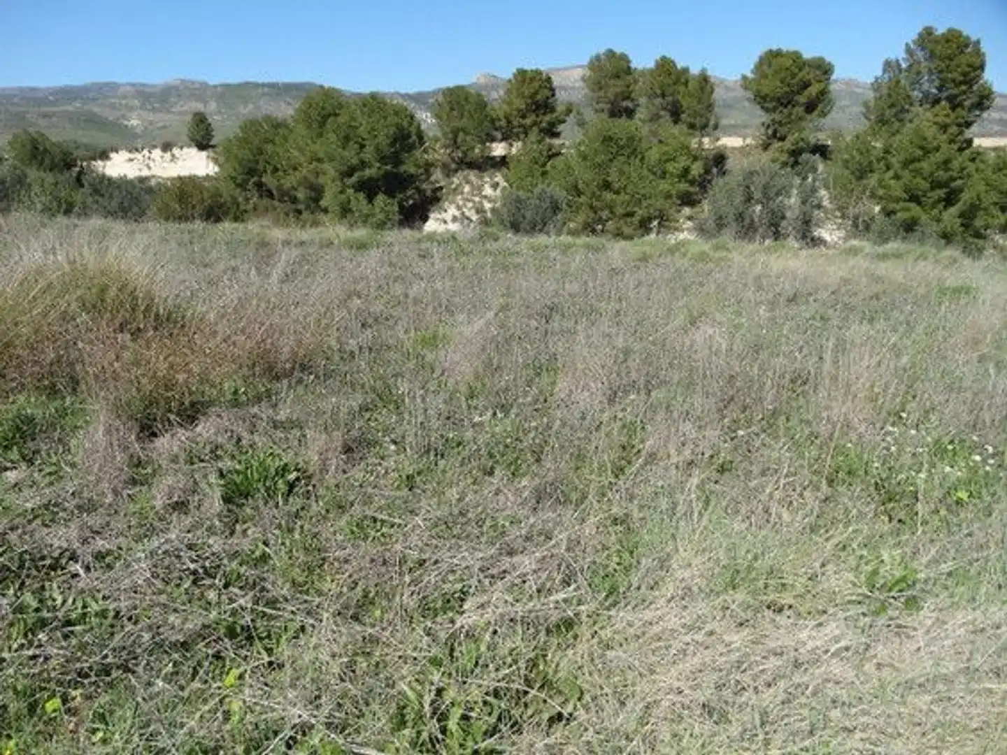 Terreny rústic en venda a Moratalla, imagen 12