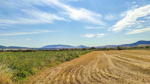 Foto 4 de Residencial en venda a Muruzábal - Monte Viejo, Muruzábal, Navarra