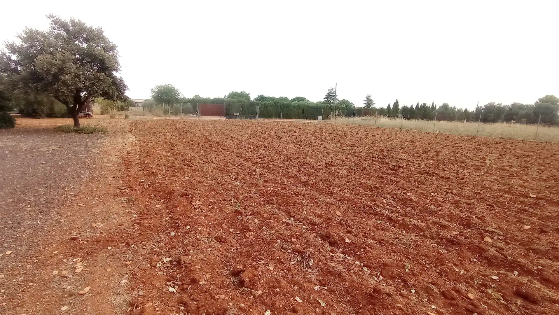 Grundstücke zum Verkauf in Miguelturra