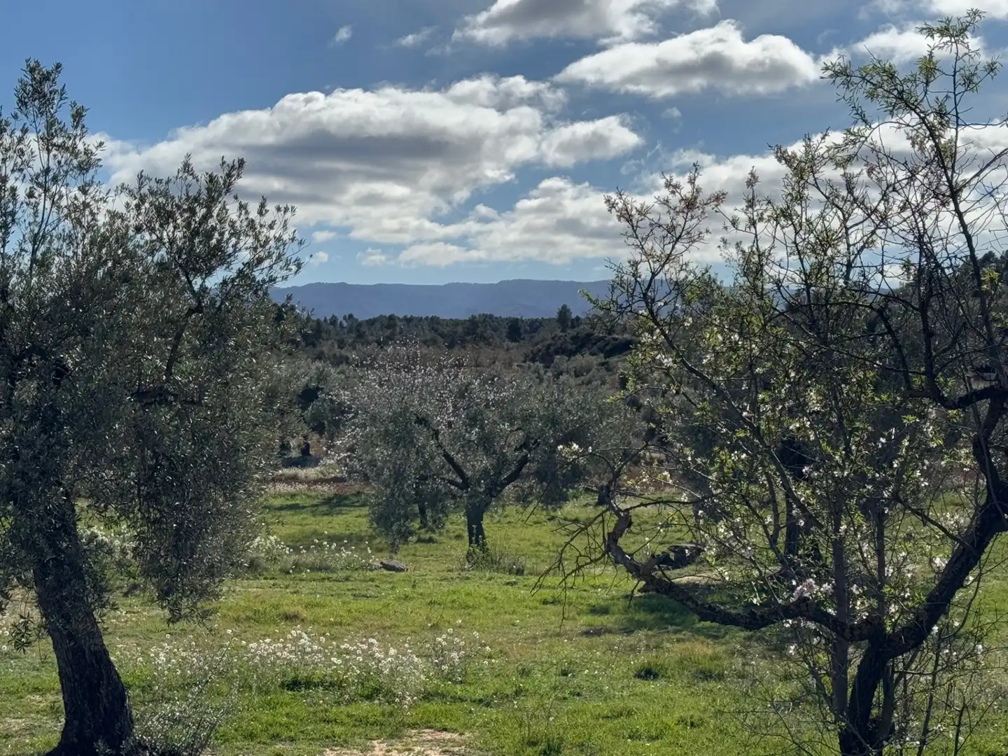 Terreni e lotti in vendita a Valderrobres, imagen 21