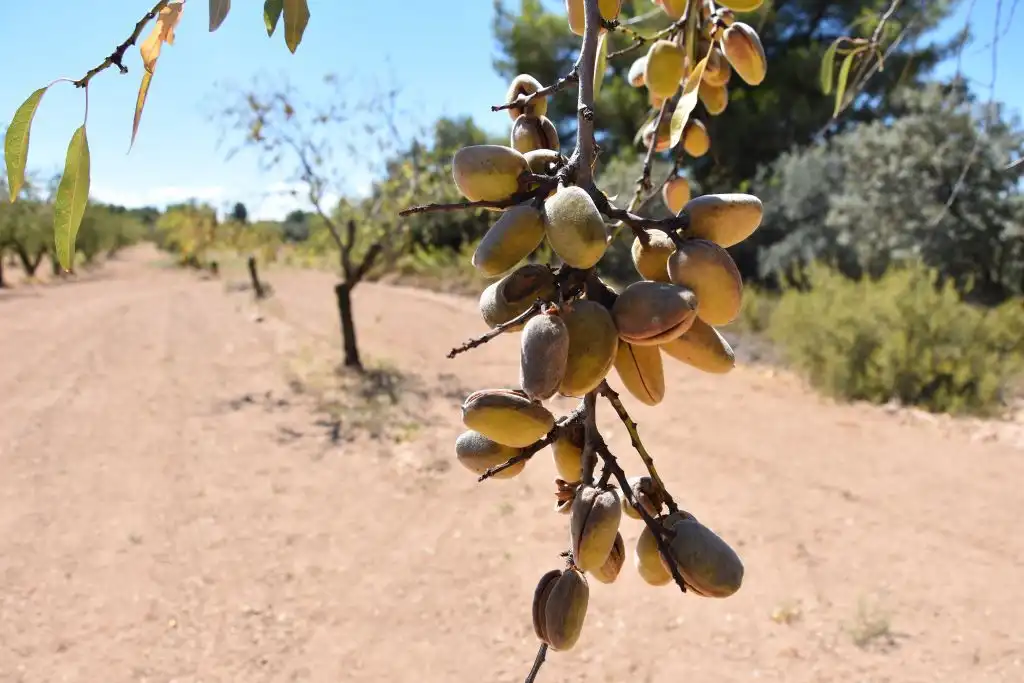Terreni e lotti in vendita a Cretas, imagen 12