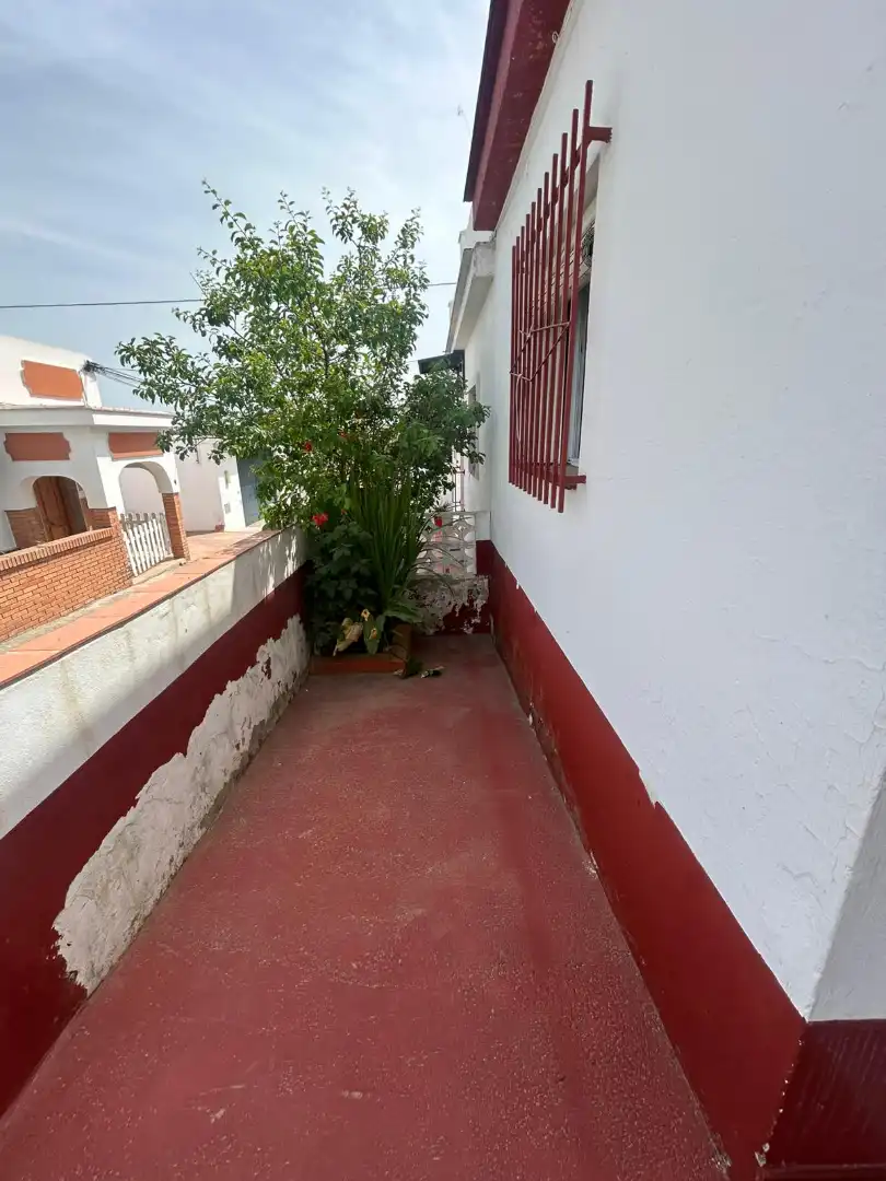 Vista exterior de Casa o chalet en venta en Puerto Real con Amueblado