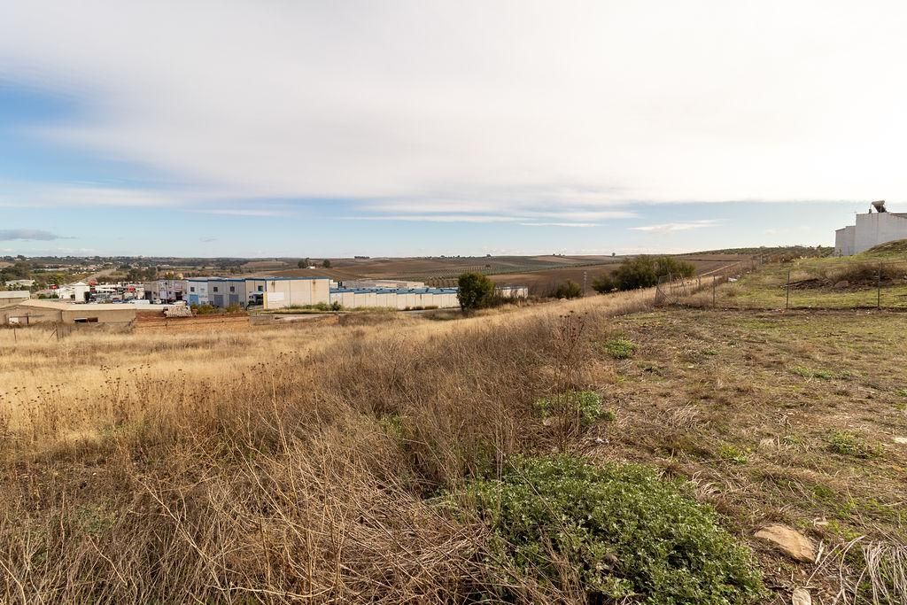 Residential for sale in La Carlota