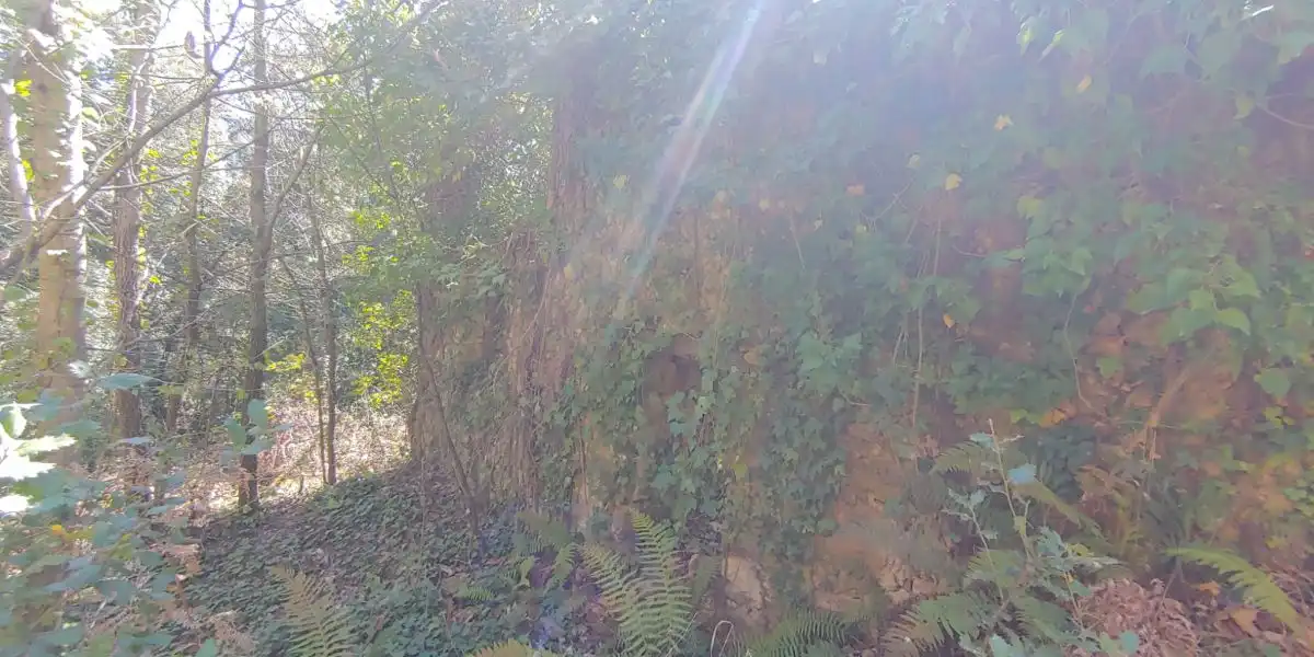 Residencial en venda en Susqueda