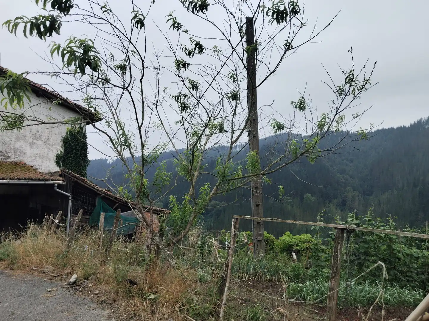 Casa o chalet en venta en Beasain