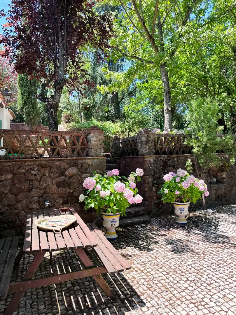 Casa con piscina en venta en Aracena, imagen 3