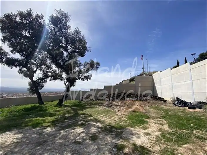 Terreni e lotti in vendita a Íllora, imagen 3