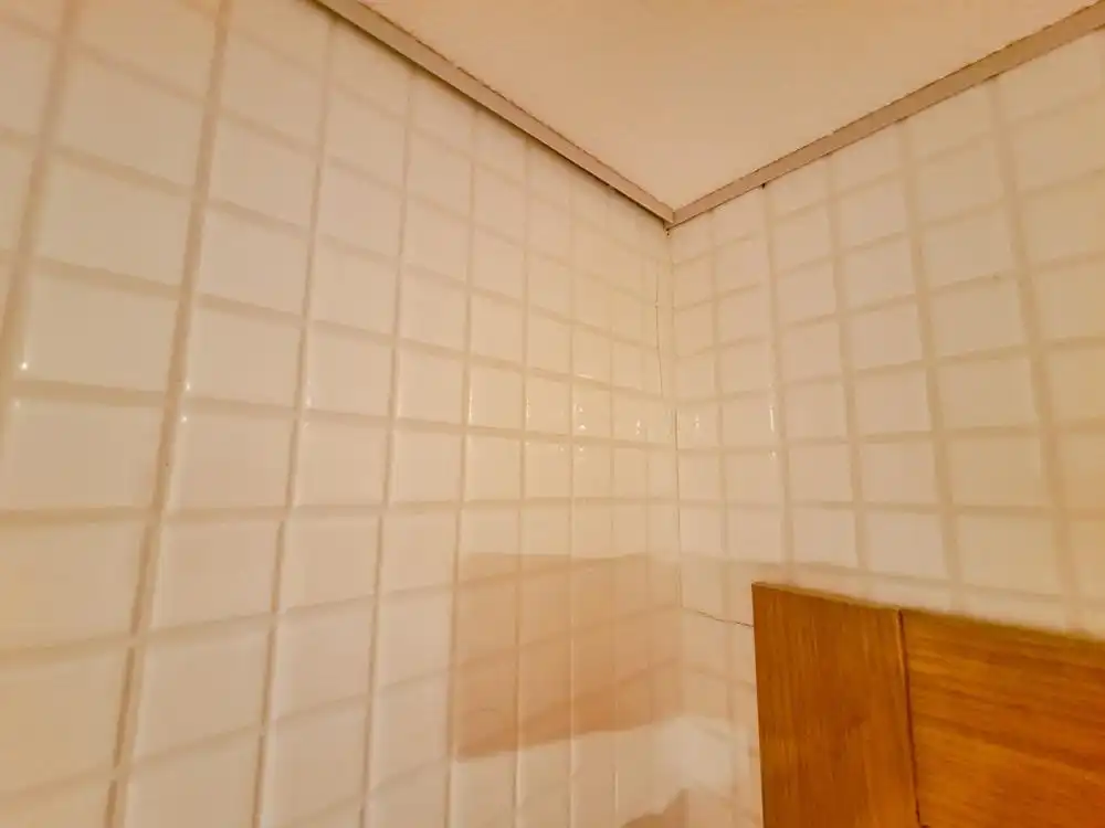 Vivienda con piscina en venta en Calle ALBARDIN, imagen 24