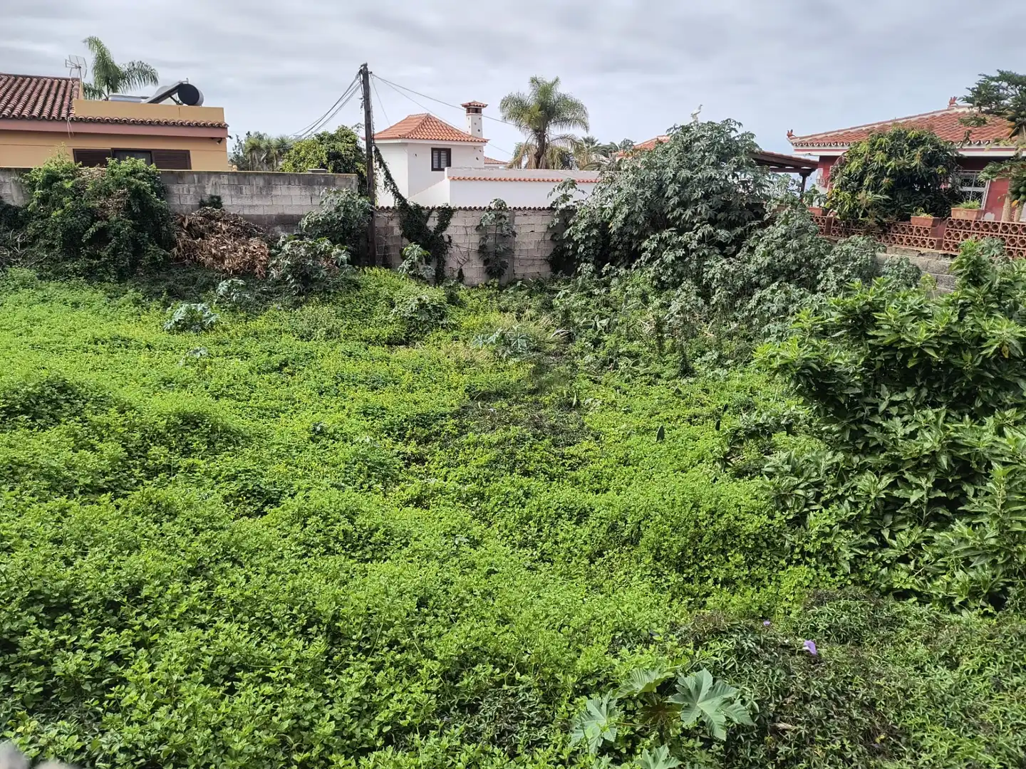 Residential zum Verkauf in Los Realejos