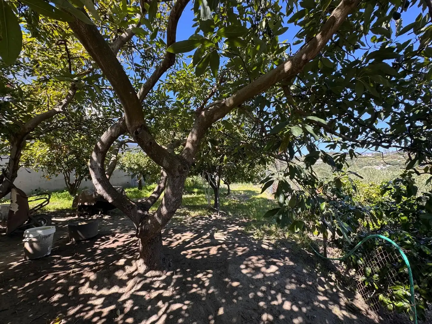 Jardín de Casa o chalet en venta en Estepona con Aire acondicionado, Calefacción y Jardín privado