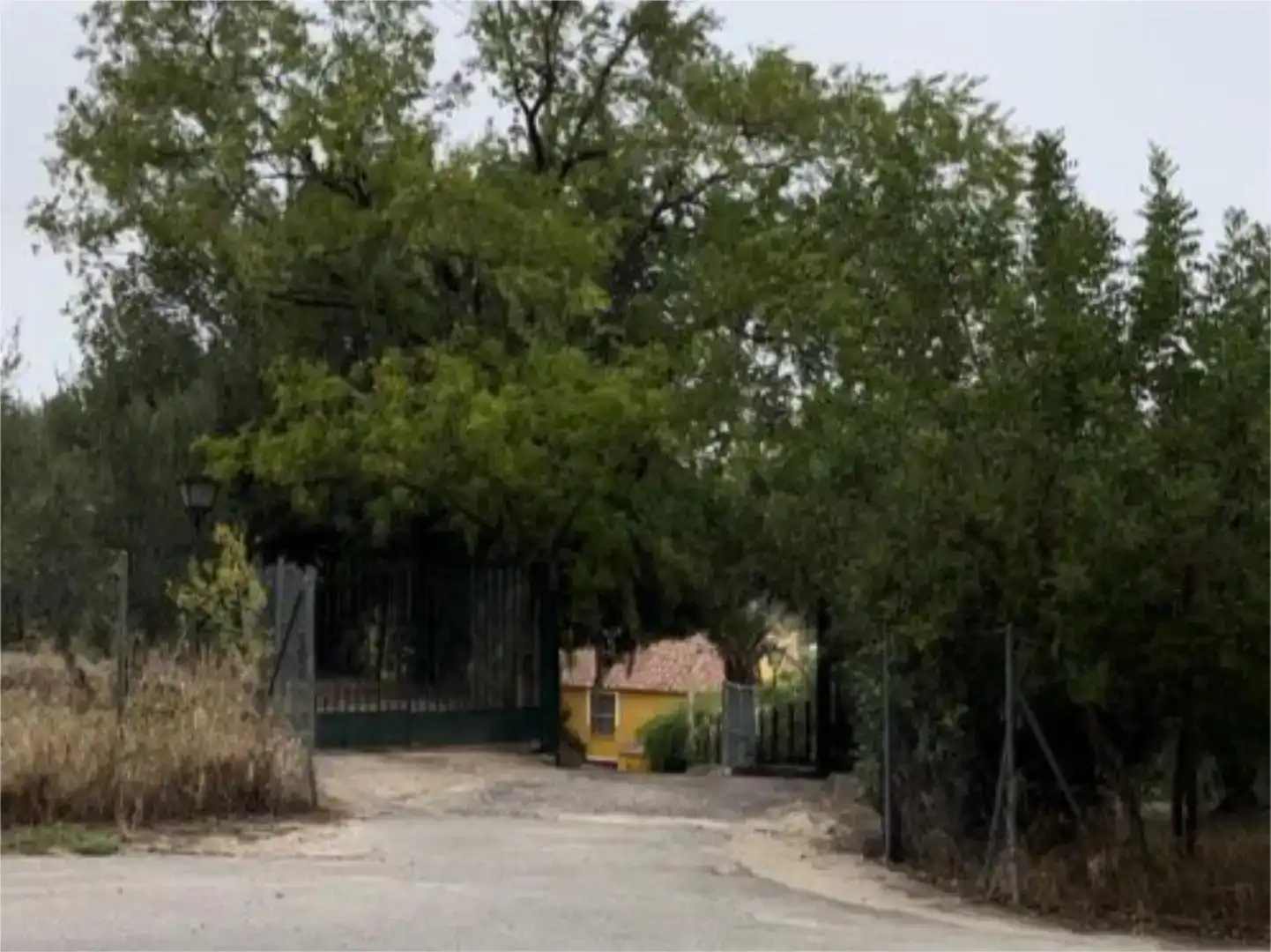 Vista exterior de Finca rústica en venda en Morón de la Frontera