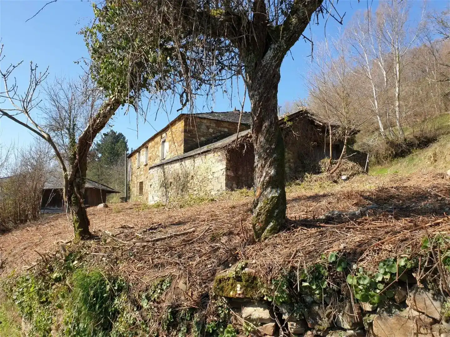 Vista exterior de Finca rústica en venda en Becerreá amb Balcó