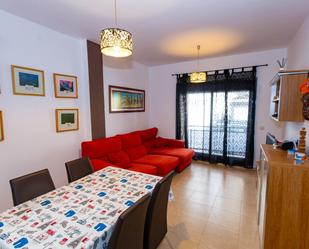 Sala d'estar de Planta baixa en venda en Alcanar amb Terrassa