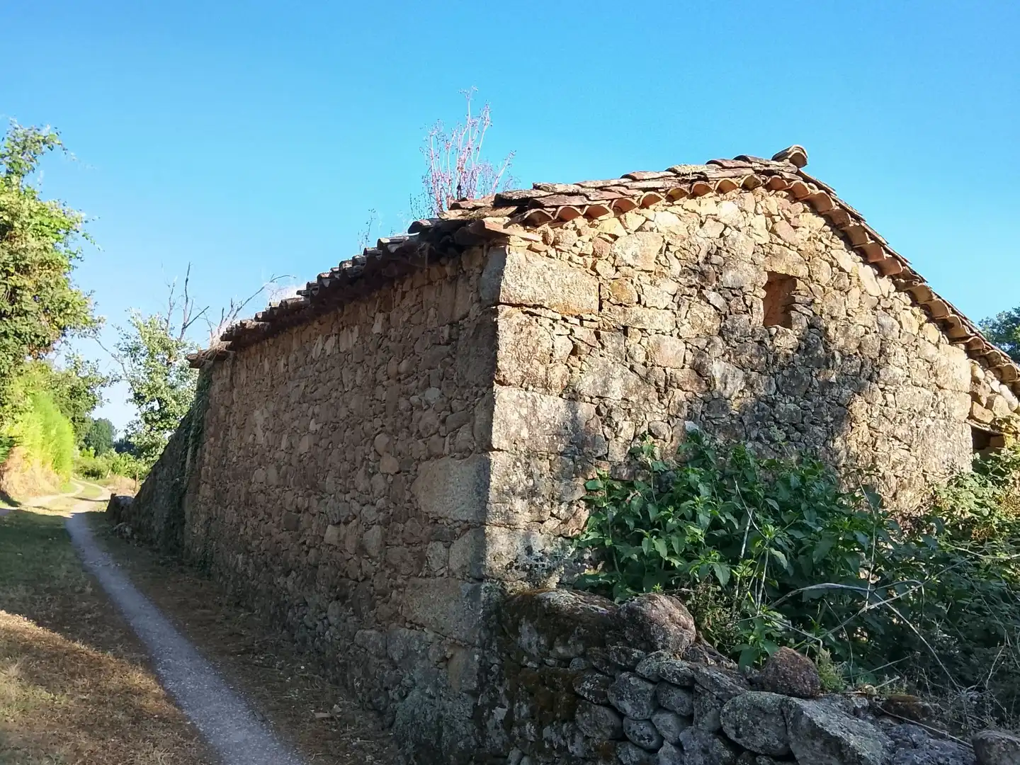 Terreni e lotti in vendita a Villanueva de la Vera, imagen 17