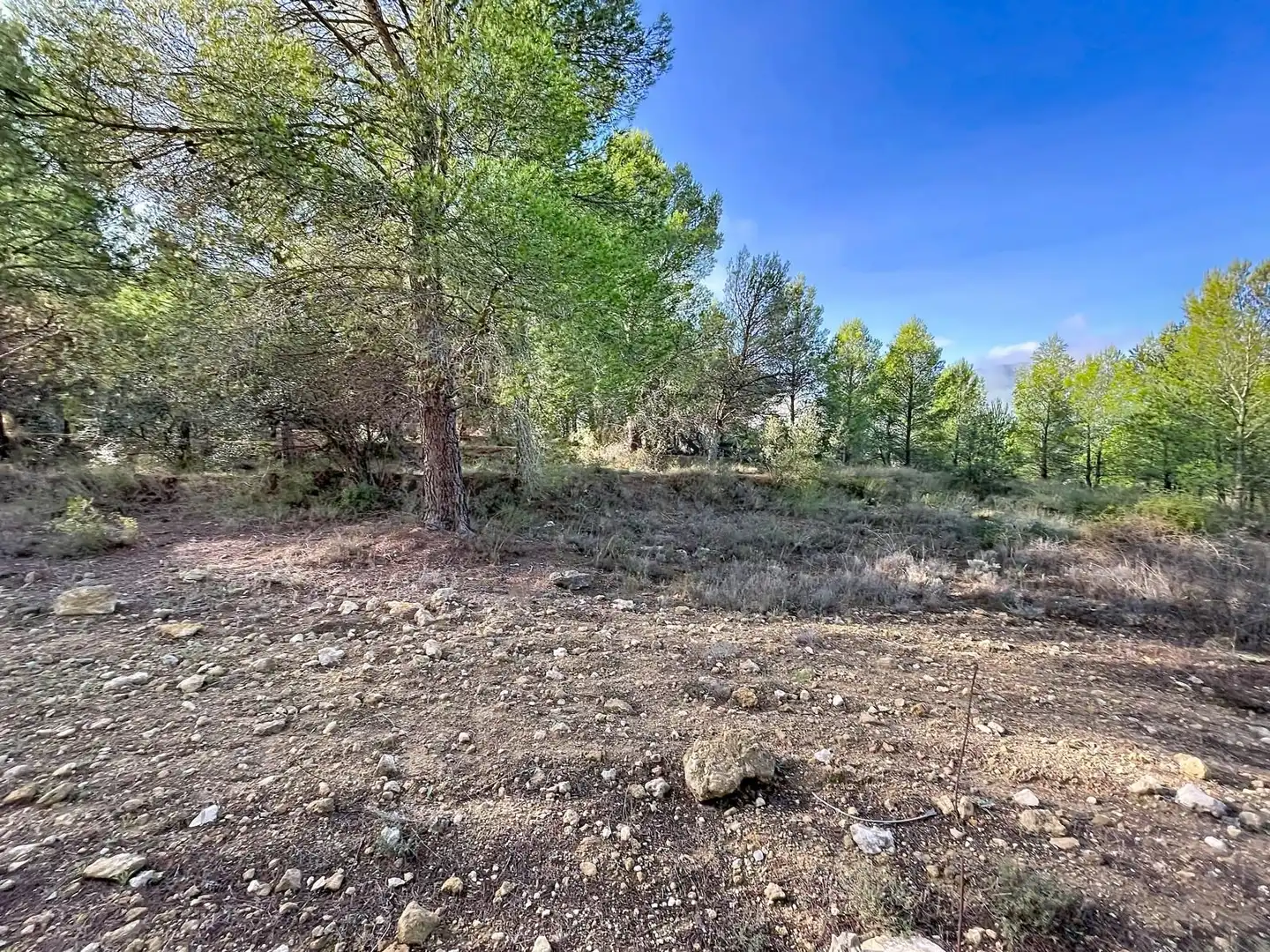 Wohnbaugrundstück zum Verkauf in Muro de Alcoy, imagen 11