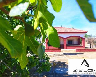 Exterior view of Country house for sale in San Juan del Puerto