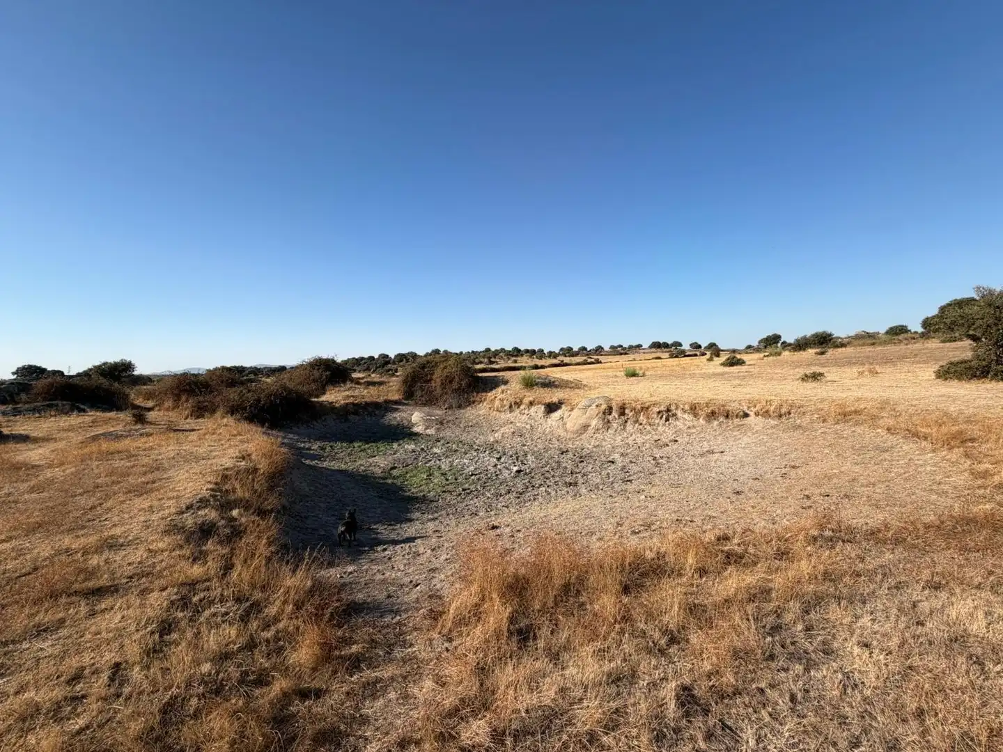 Terreno rustico in vendita a Malpartida de Cáceres