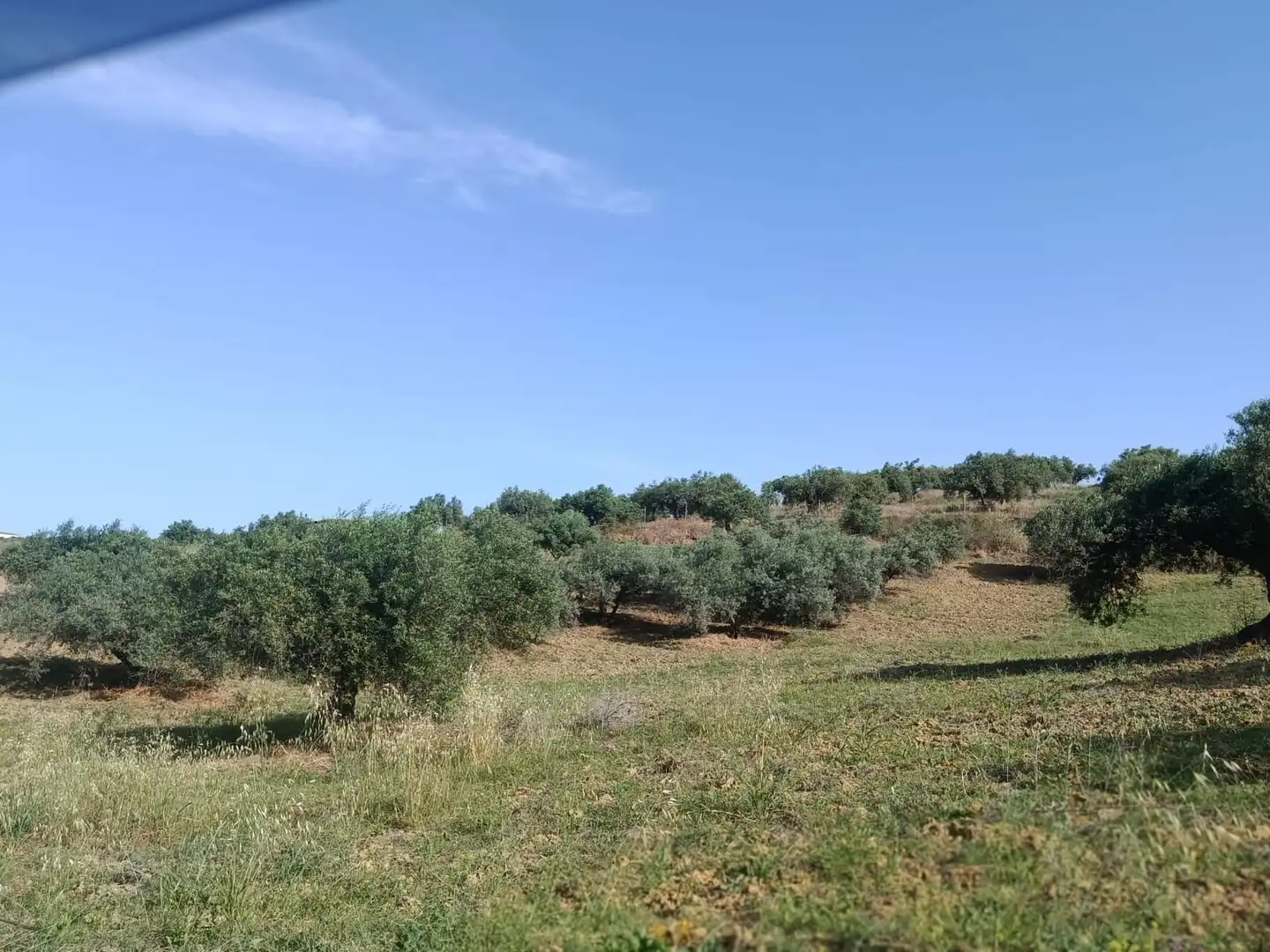 Terreni e lotti in vendita a Alquería - Torrealquería, imagen 5