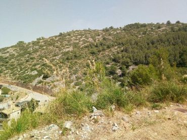 Terreni e lotti in vendita a Llevantina - Montgavina - Quintmar