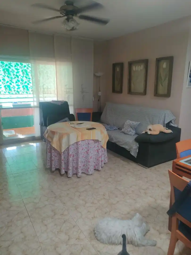 Sala d'estar de Pis en venda en Moraleja de Enmedio amb Terrassa