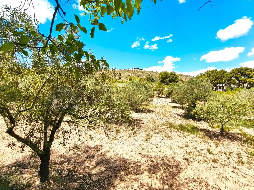 Finca rústica en venta en Sax