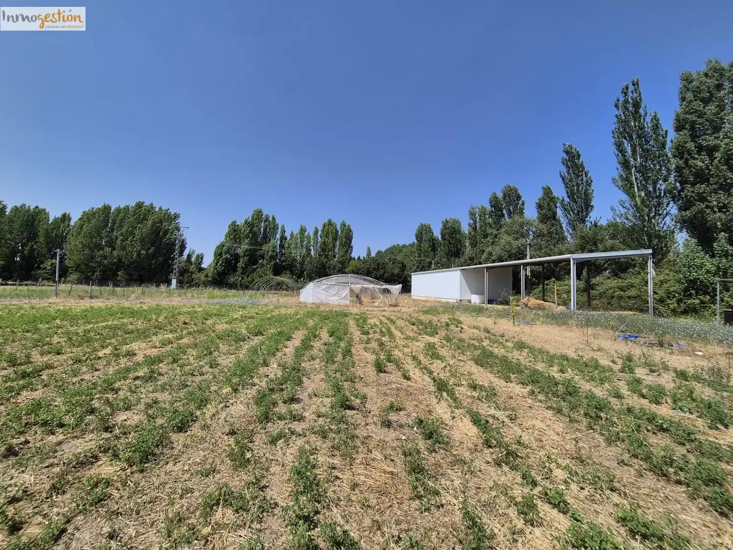 Fabrikhallen zum Verkauf in Tudela de Duero