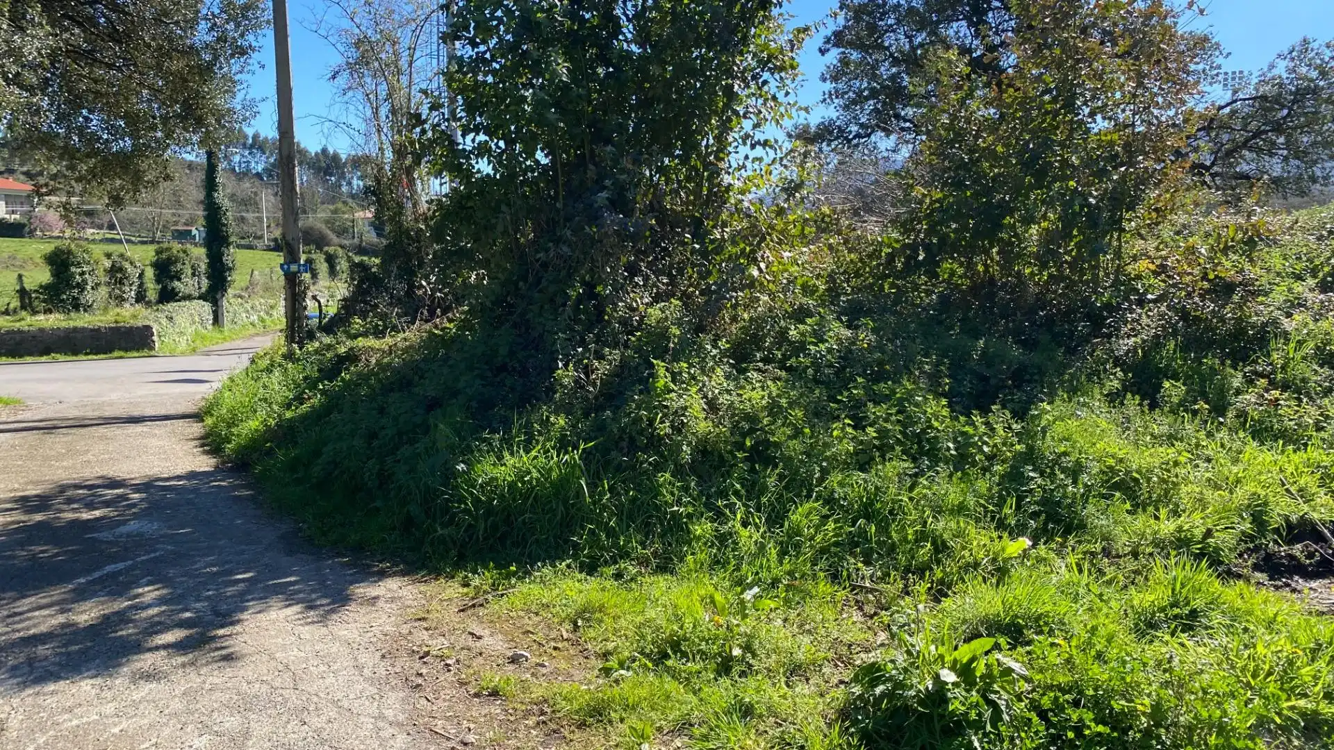 Rustikales Grundstück zum Verkauf in Ribadesella, imagen 13